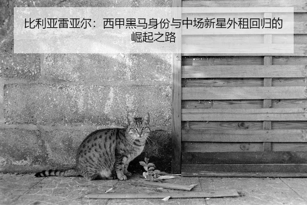 bi-li-ya-lei-ya-er-xi-jia-hei-ma-shen-fen-yu-zhong-chang-xin-xing-wai-zu-hui-gui-de-jue-qi-zhi-lu-2-848.jpg