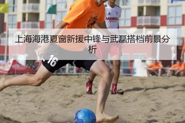 上海海港夏窗新援中锋与武磊搭档前景分析