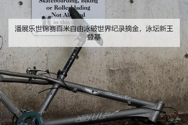 潘展乐世锦赛百米自由泳破世界纪录摘金，泳坛新王登基