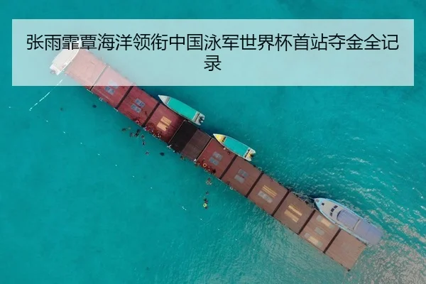 张雨霏覃海洋领衔中国泳军世界杯首站夺金全记录