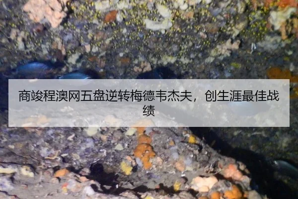 商竣程澳网五盘逆转梅德韦杰夫，创生涯最佳战绩