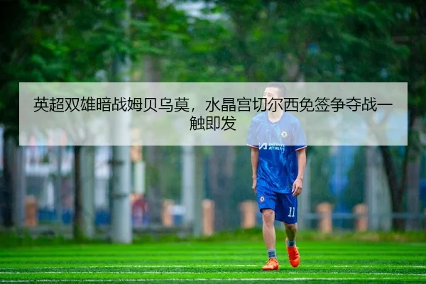 ying-chao-shuang-xiong-an-zhan-mu-bei-wu-mo-shui-jing-gong-qie-er-xi-mian-qian-zheng-duo-zhan-yi-chu-ji-fa-3-458.jpg