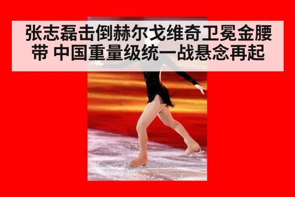 张志磊击倒赫尔戈维奇卫冕金腰带 中国重量级统一战悬念再起